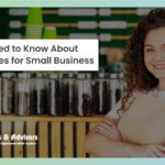 Everything You Need to Know About Accounting Services for Small Business